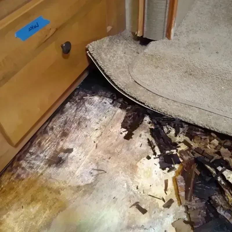 Best Wood Floor Water Damage Service in East Sahuarita, AZ